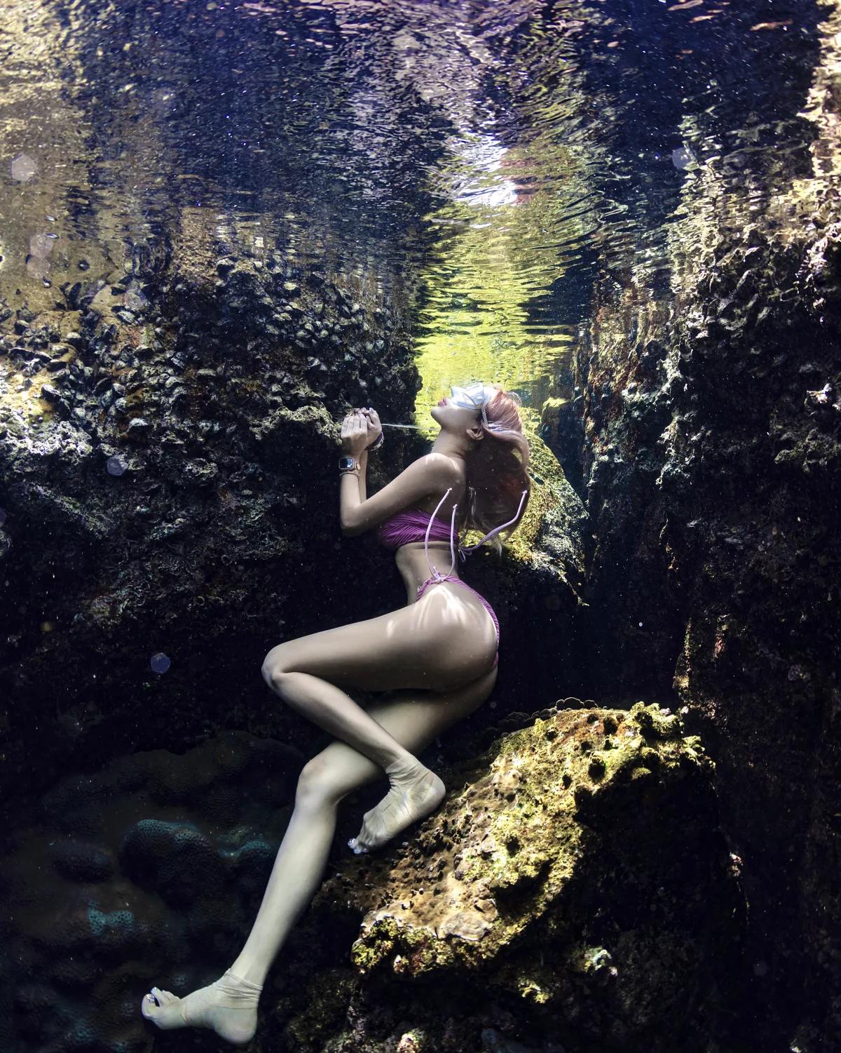 Freediving through Koh Tao reef gardens
