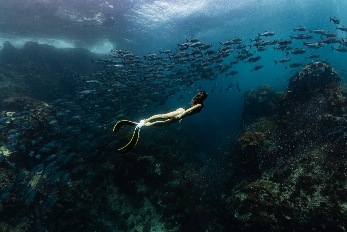 Minseo descending into a trevally school