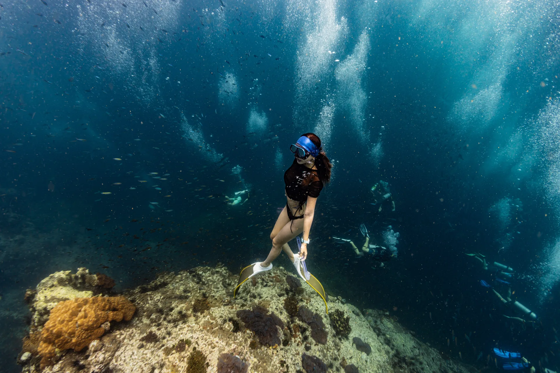 The Complete Guide to Freediving at Sail Rock from Koh Samui